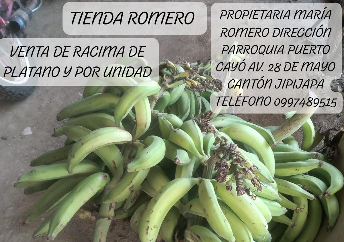 Plátano barraganete