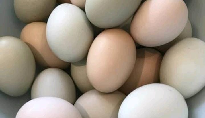 Huevos criollos