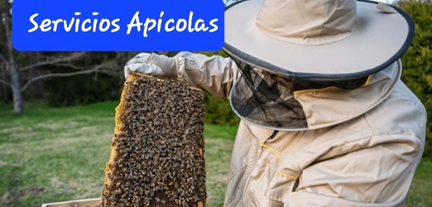 SERVICIOS APICOLAS
