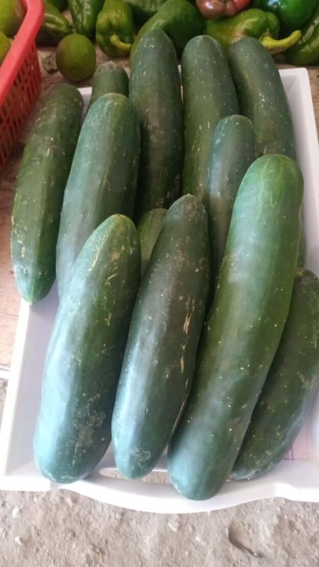 Pepinos