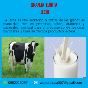 Leche