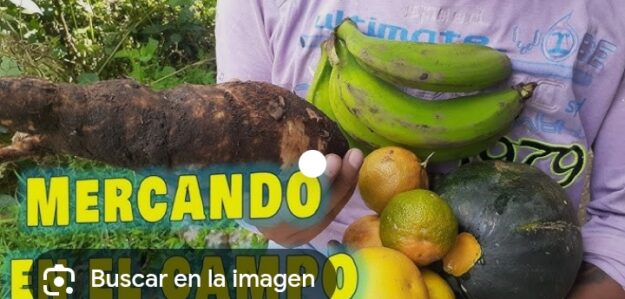 Tienda productos de la zona