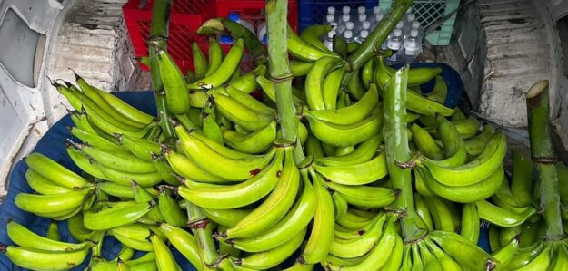 Venta de productos de la zona