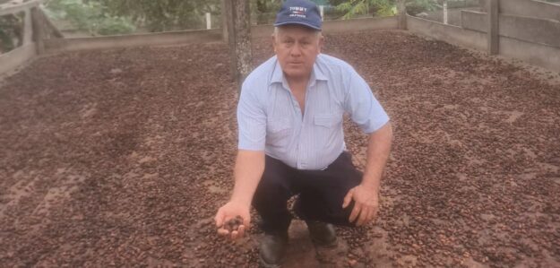 Venta de cacao