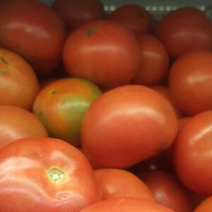 Tomate