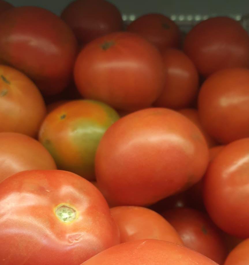 Tomate