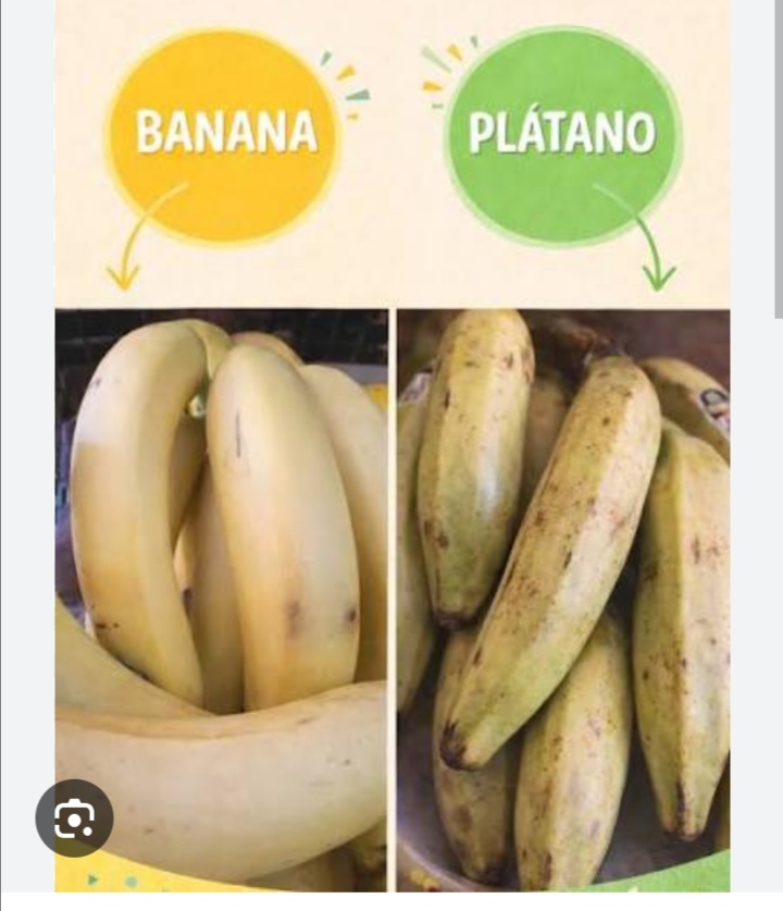 Platano