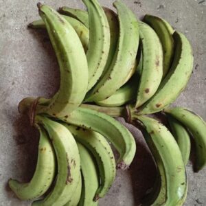 Platano