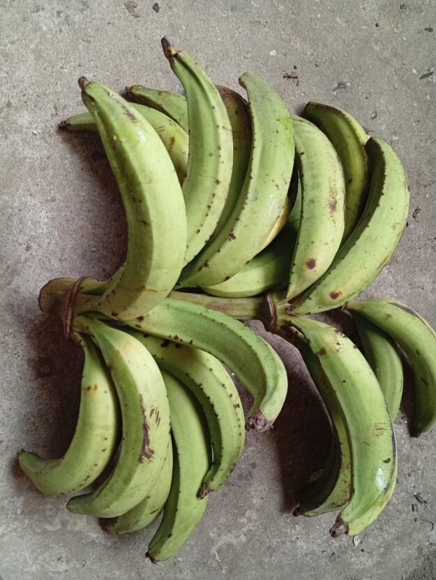 Platano