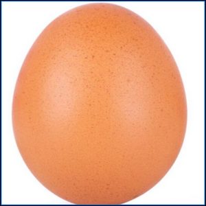 Cubetas de huevos