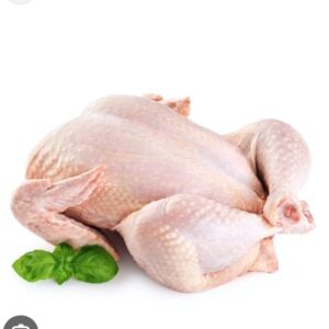 Pollo