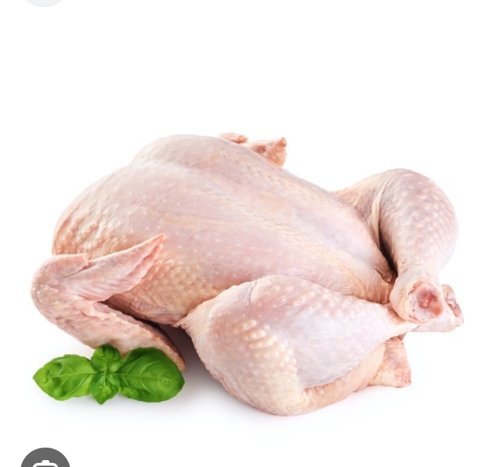 Pollo