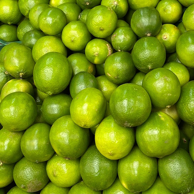 Frutilla - Image 2