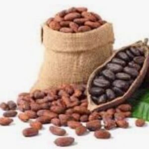 Cacao orgánico