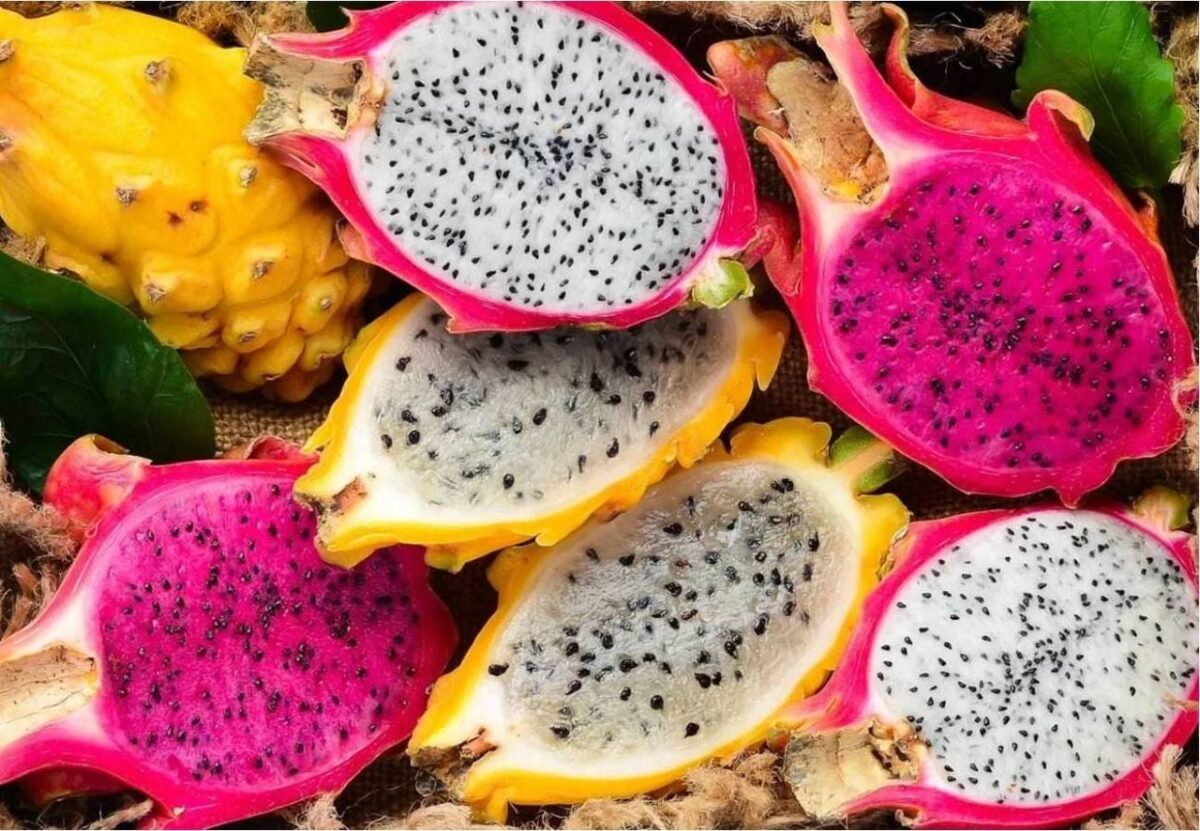 Frutilla - Image 7
