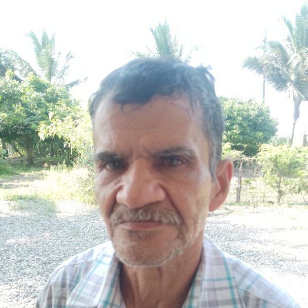 Tienda de platanos