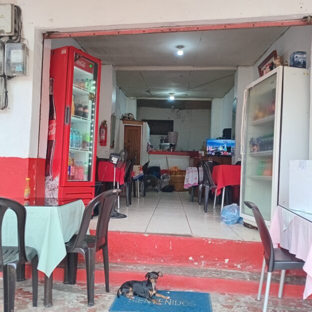 COMEDOR YOLANDA