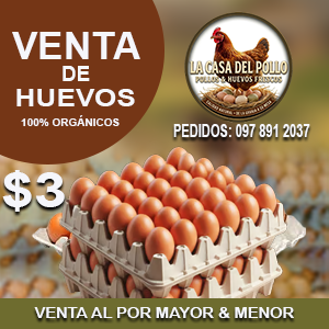 Cubeta de huevos
