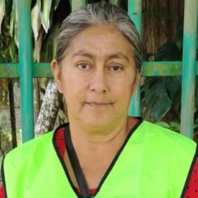 Venta de cocos
