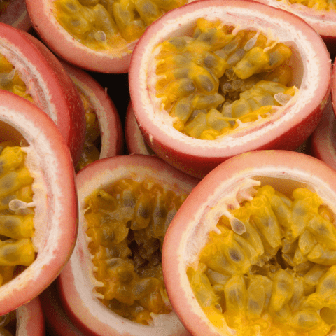 Frutilla - Image 3