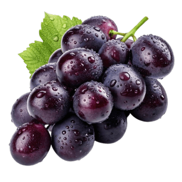 Frutilla - Image 8