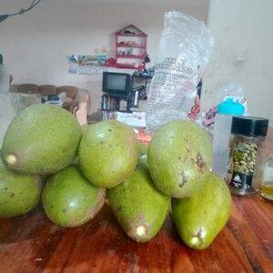 Aguacate