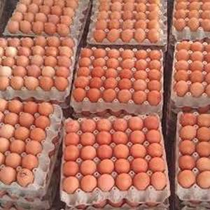 Cubeta de huevos