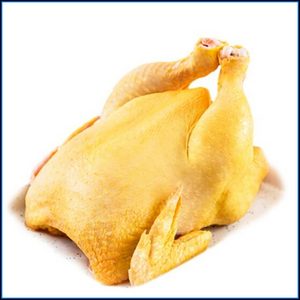 Pollos camperos