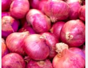 Cebollla
