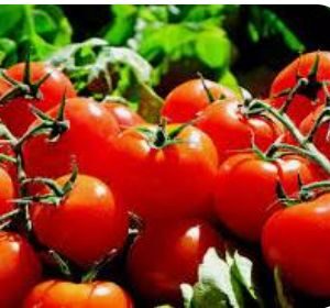 Tomate