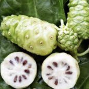 Noni