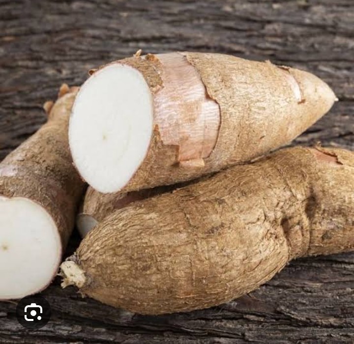 Yuca Organico