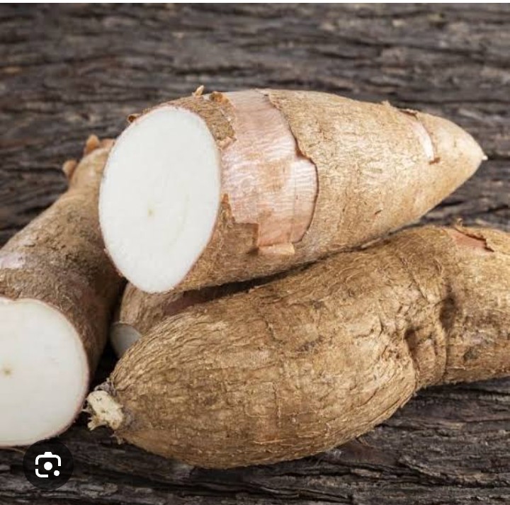 Yuca