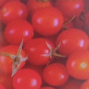 Tomate
