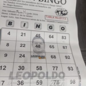 Bingo solidario