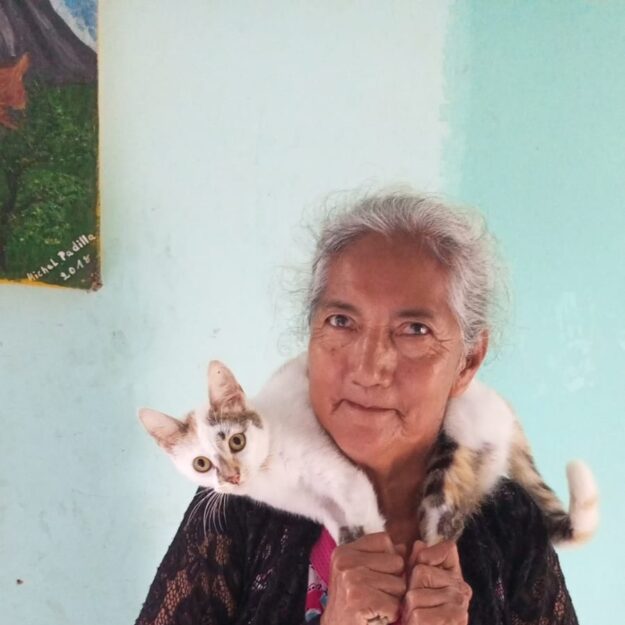 COMIDAS RAPIDAS EMPERATRIZ
