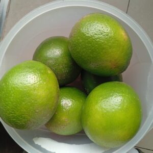 Limón Tahití 🍋