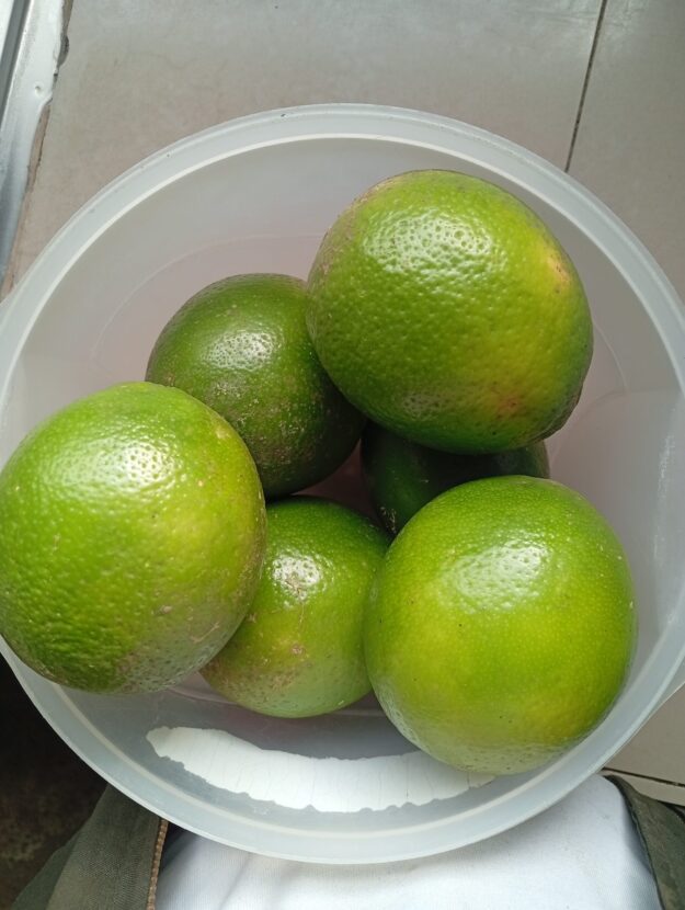 Limón Tahití 🍋