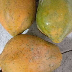 Papayas