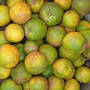 Naranjas 🍊