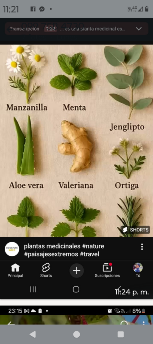 Tratamiento para gastritis