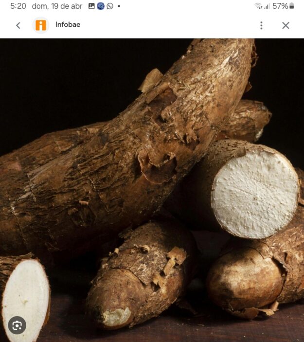 Yucas