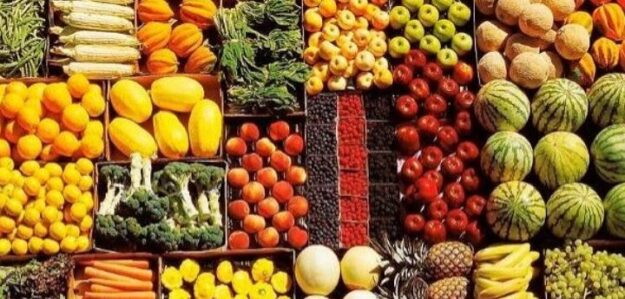 Productos Agricolas González