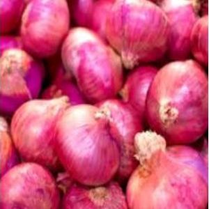 Cebollla