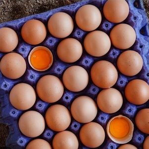 Huevos