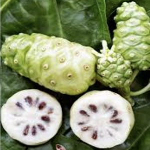 Noni