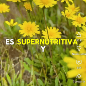 Remedio natural