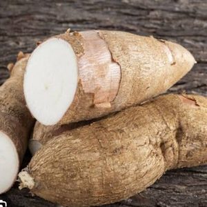 Yuca