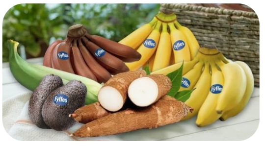 PRODUCTOS VARIOS DEL CAMPO