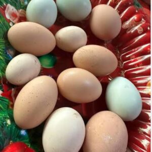 Huevos Criollos